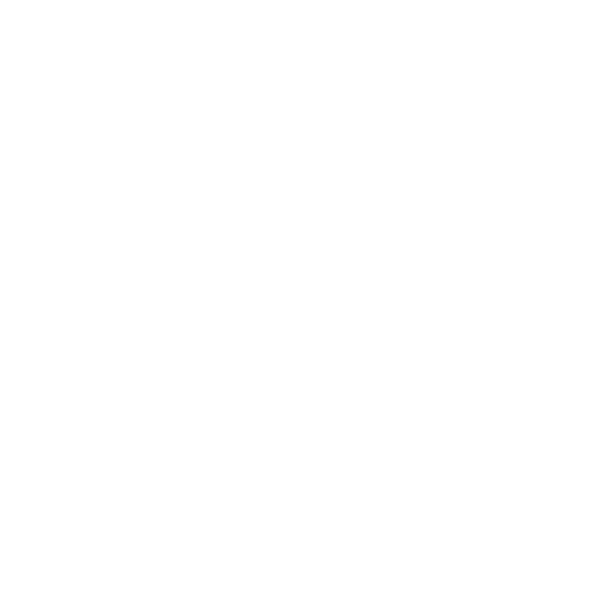 nastopy logo